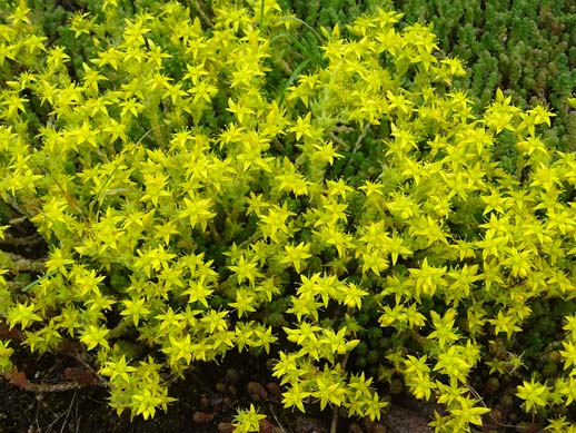 2023г. Потом уж только душу ты. 492и