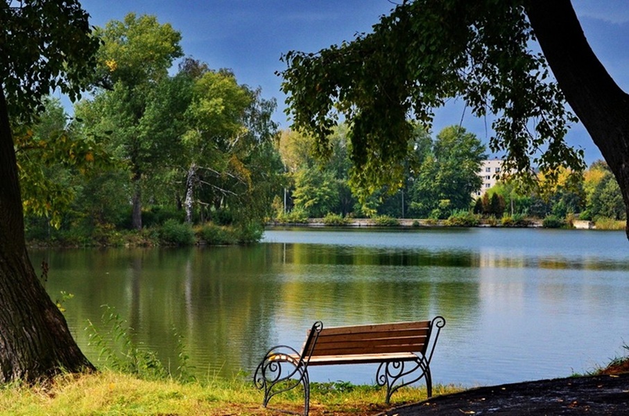 Осень парк лавочка озеро