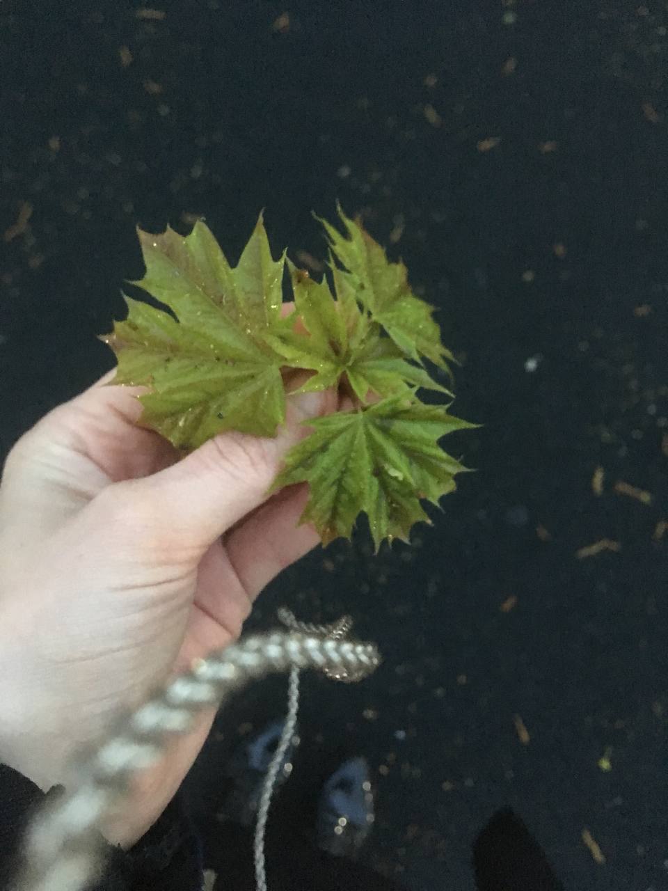 Остров спокойствия