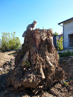 2023г. Опять в дверях мы повстречались. 513и