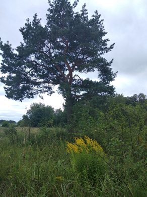 2023г. Вы научились врать отменно. 514и