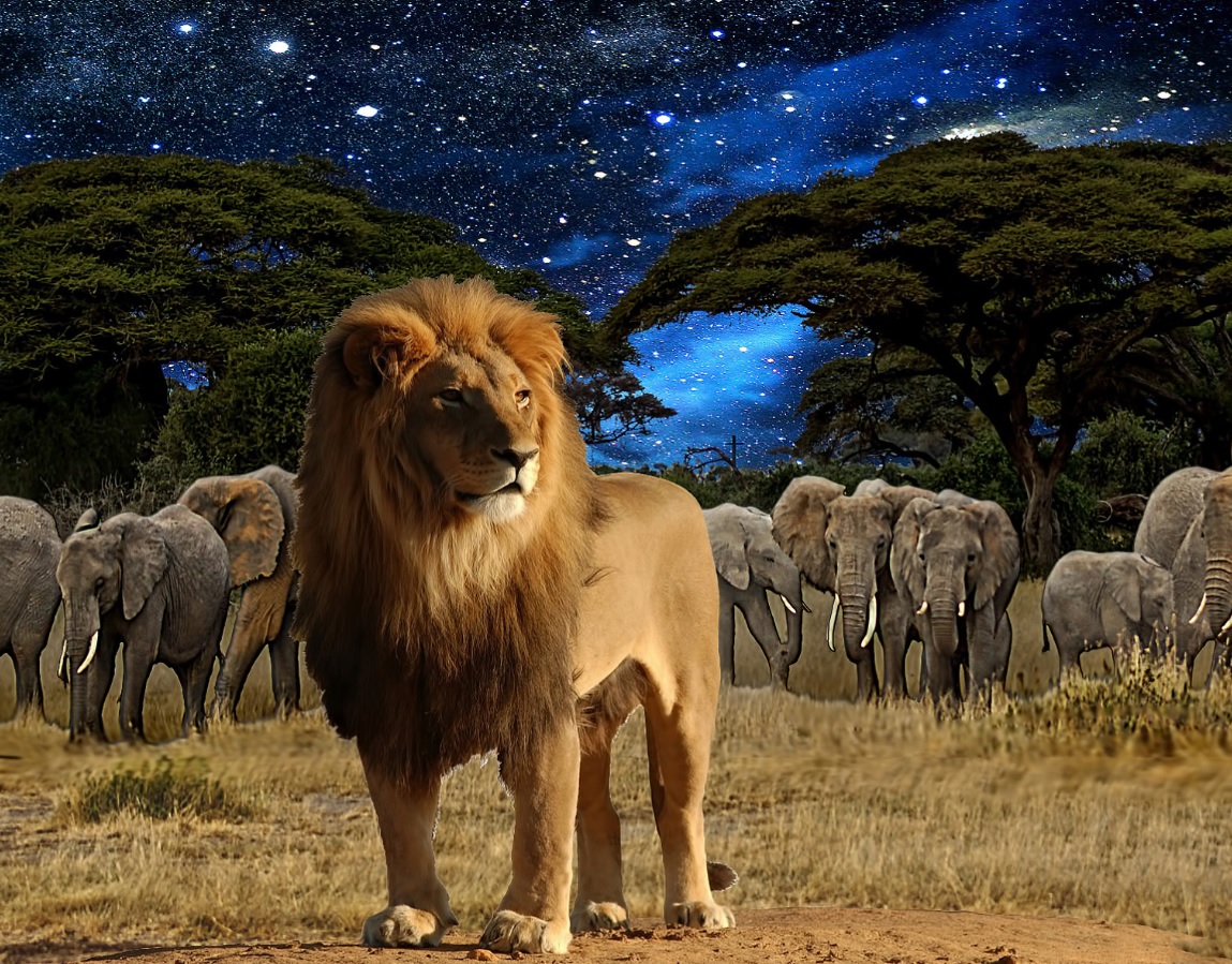 Опасные игры