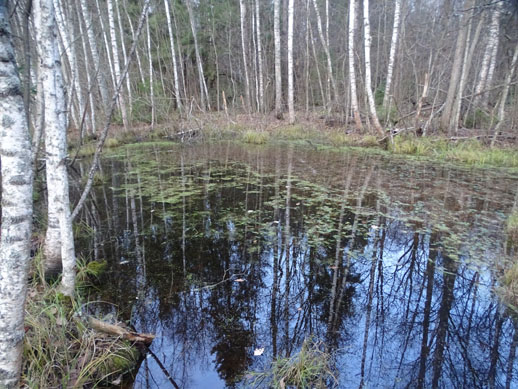 2023г. Что тяготит Вас? Только Вы. 528и