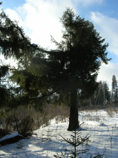 2023г. Всё время что - то обещаешь. 538и