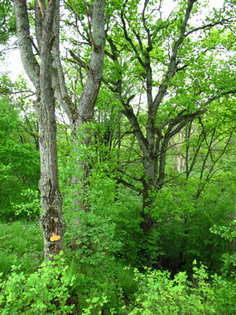 2023г. Для вас отдельно повторяю. 564и