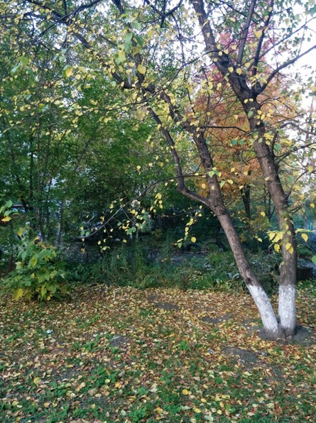 Не замечаем...