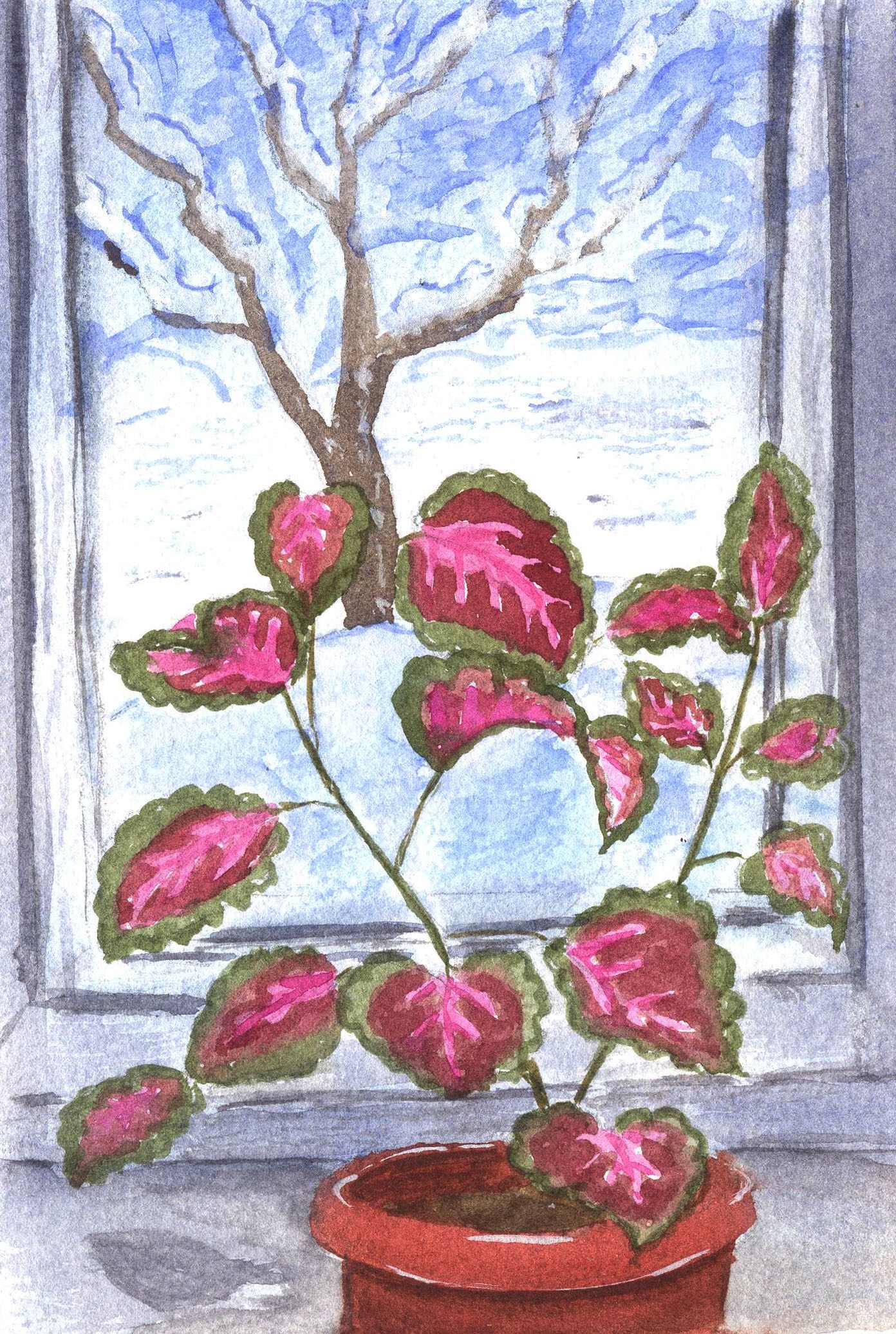 Комнатный цветок