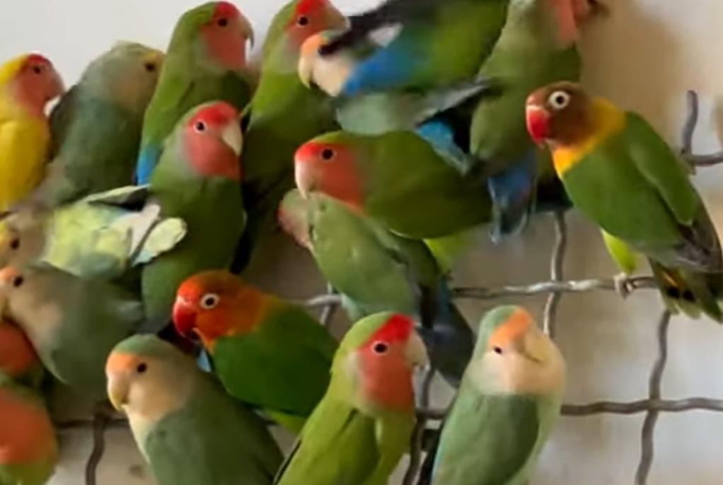 Мысли в Пути - мы столько наваяли...