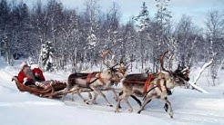 Ждите деточки сюрприз