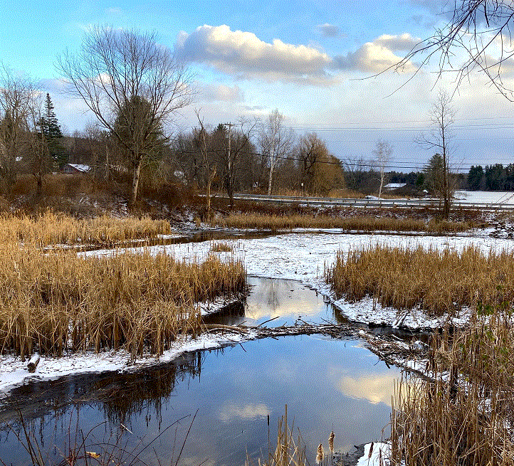 Зимние мысли у болота