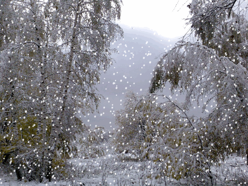 Дождь со снегом