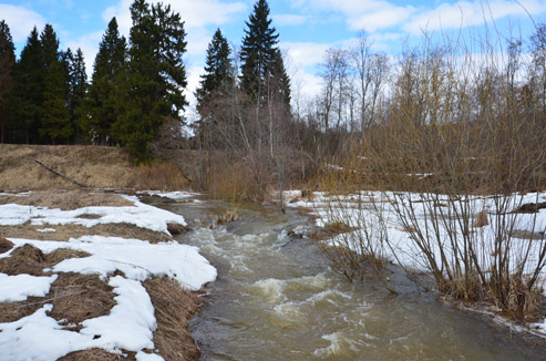 2022г. Уже не хочется идти. 141и