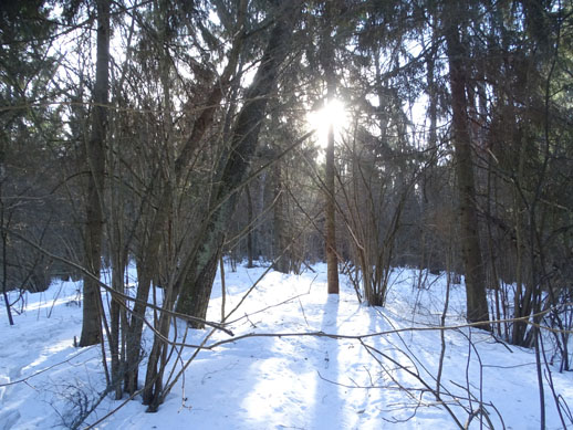 2022г. Лес меня встретил хорошо. 149и