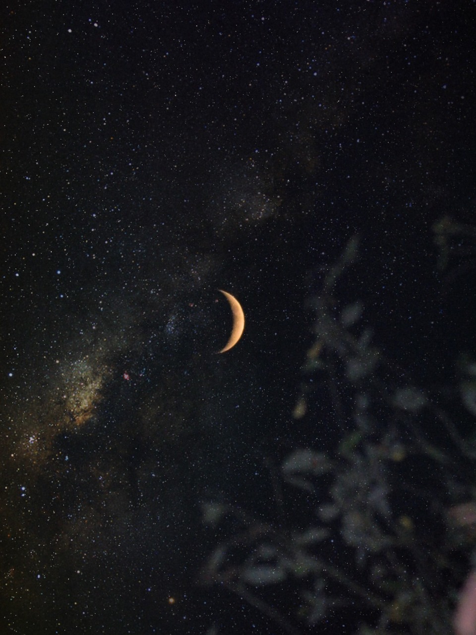Secrets of Secrets Moon photography, Good night moon, Moon art
