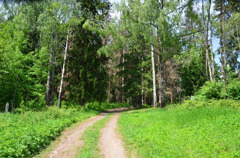 2022г. Прорвалась связь сквозь все запреты. 169и