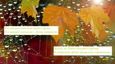 Книга жизни