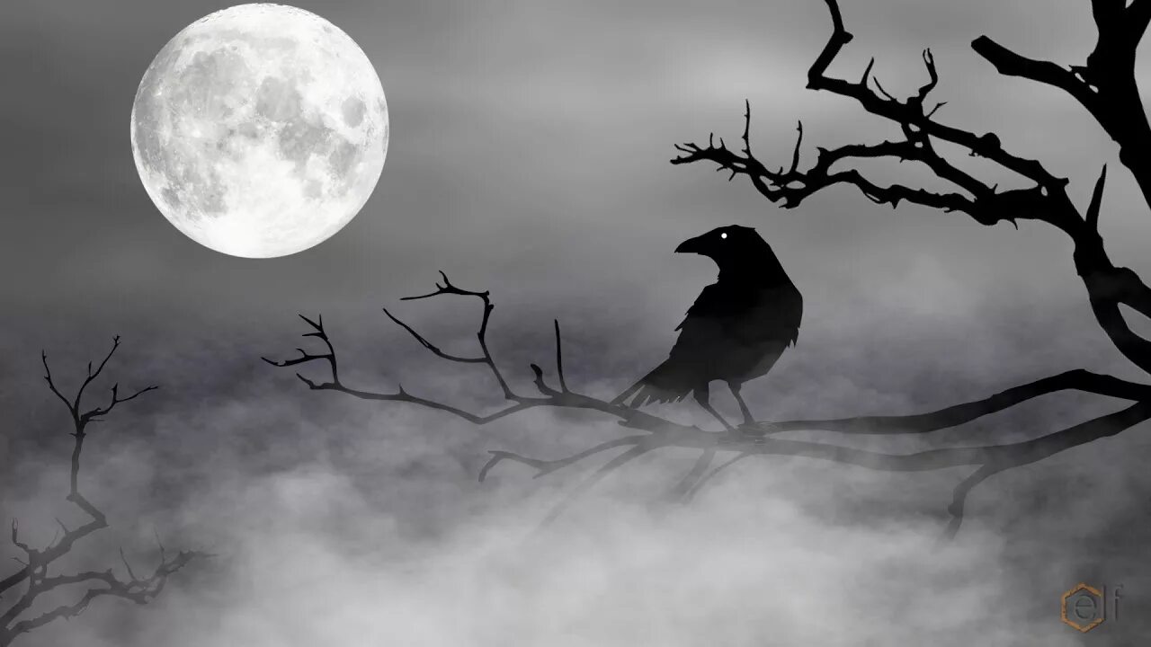 Птица жалобно кричащая ночью. Мистические вороны. Мрачный ворон. Мрачные птицы. Черный ворон.