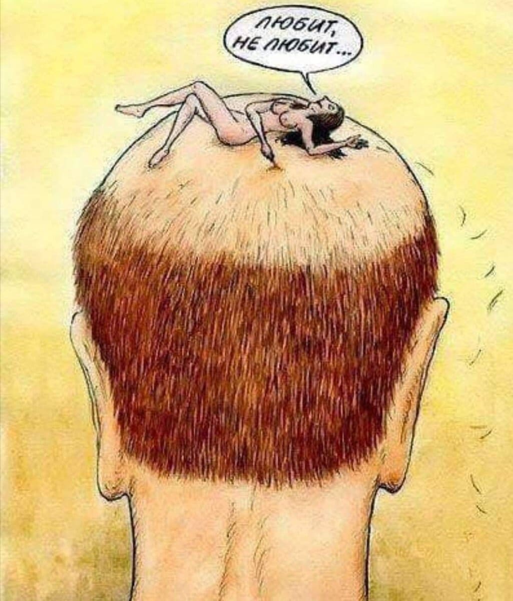 Любит - не любит