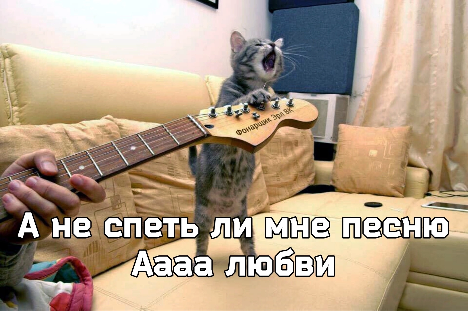 Спой любой. Котик с гитарой картинки. Смешные коты с гитарами. А не спеть ли мне. Кот хит.