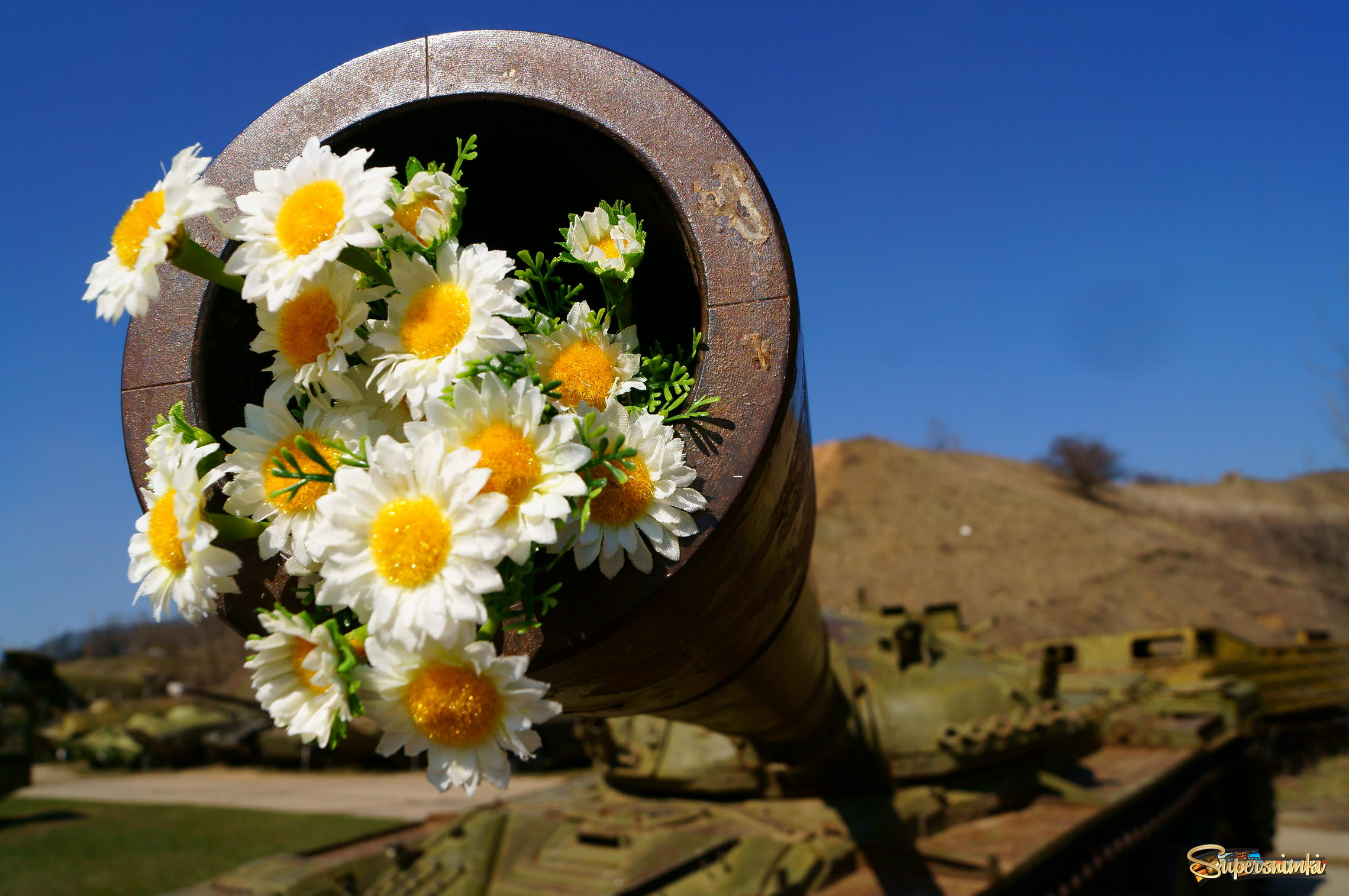 Пройдут лихие времена