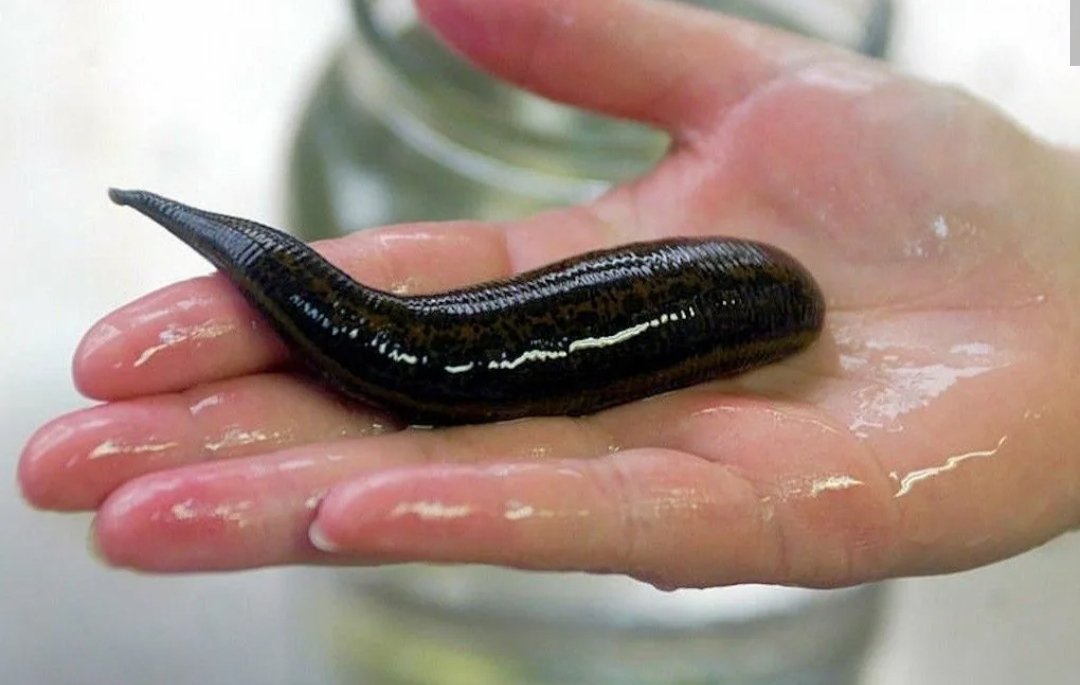 Загадка для взрослых