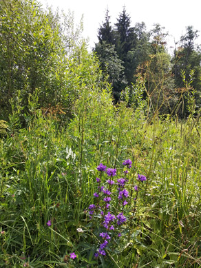 2022г. Всегда мечтаю перед сном. 202и