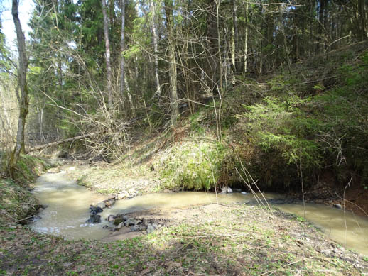 2022г. То снег, то дождь, то солнце светит. 211и