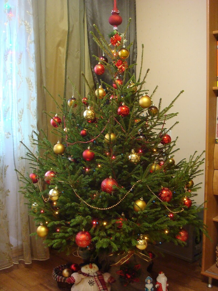 Накануне Нового года