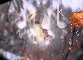 Под всплеск ноябрьских симфоний...