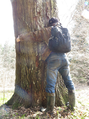 2022г. Моя душа к Вам охладела. 217и