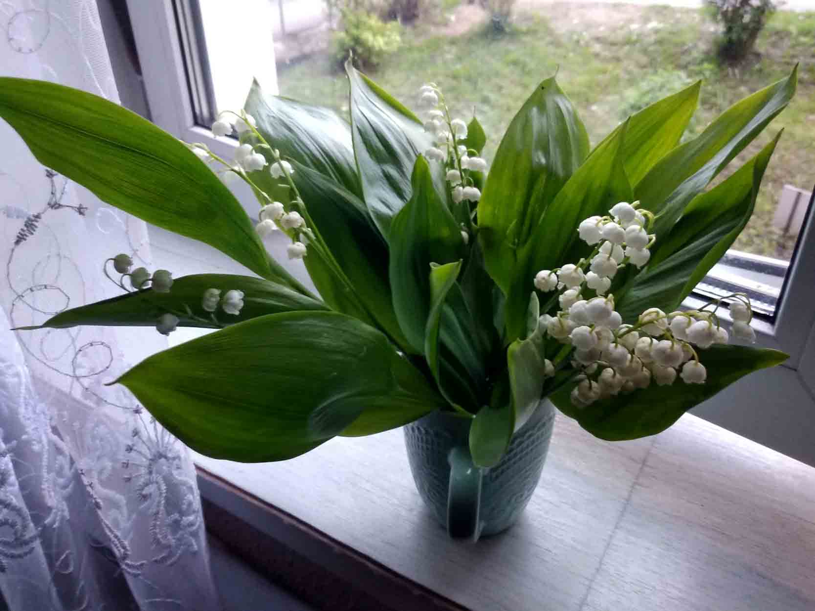 2022г. Пришла, со мною сразу спать легла. 222и