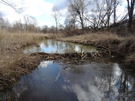 2022г. Она что хотела. то творила. 227и