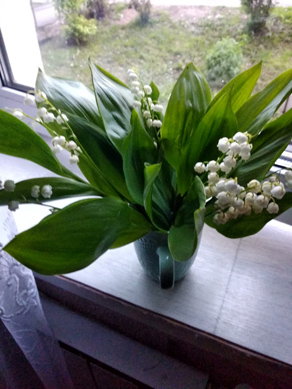 2022г. Вы подарили мне цветы. 249и