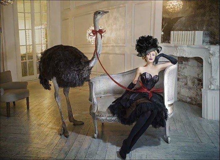 Гл. 39 Поворот у Стефания Дэ Шанталь, Короля-Корол