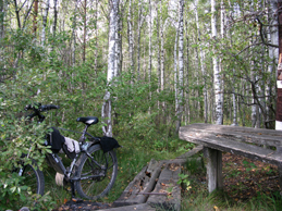 2022г. В дороге дождь меня накрыл. 254и