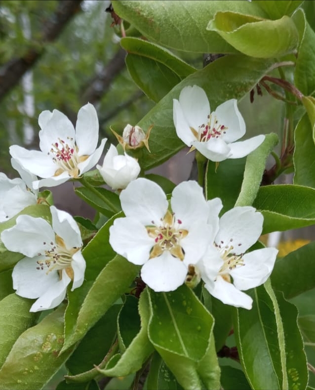Возвращайся скорее домой