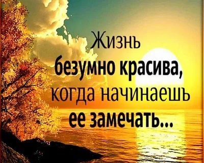 Любите жизнь!