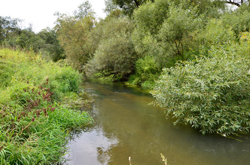 2022г. Когда расцвет природы, пик. 274и
