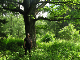 2022г. Звонили мне, желали видеть. 289и