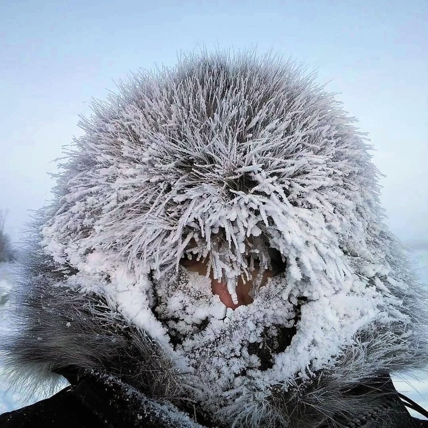 Зимний лес аномальный
