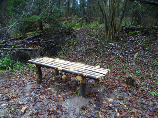 2022г. Уснула сразу, утомилась. 323и