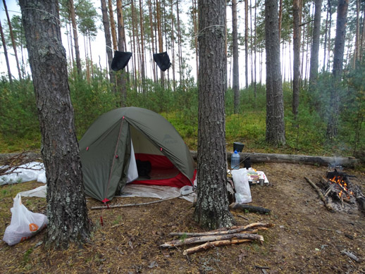 2022г. В лесу, в палатке ночевал. 335и