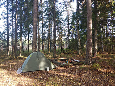 2022г. Ночь звёздной в этот раз была. 344и