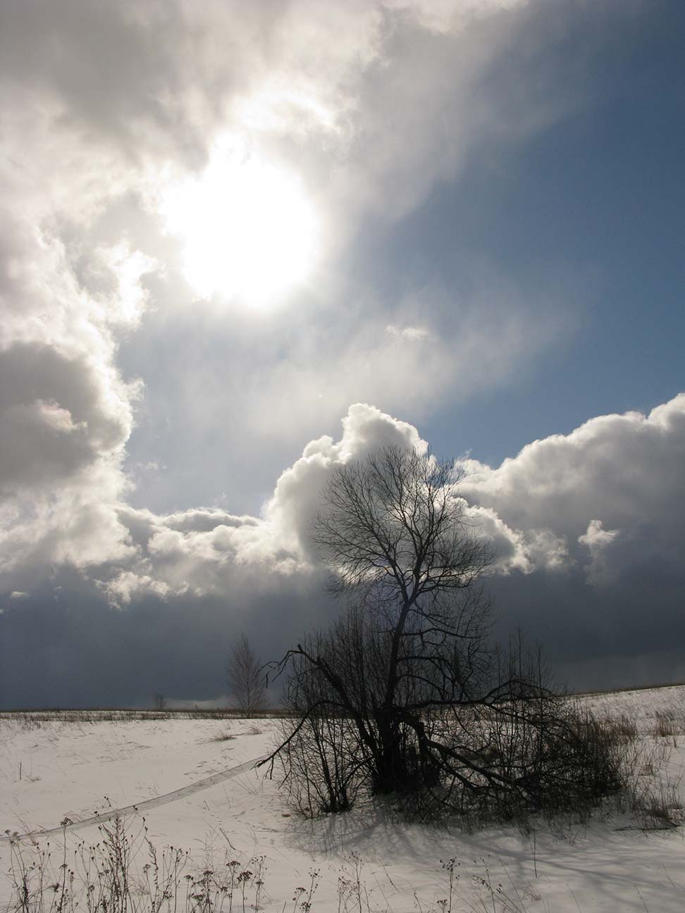 2022г. Назначил в пятницу свидание. 358и