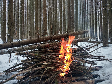 2022г. Мои стихи Вам надоели? 371и