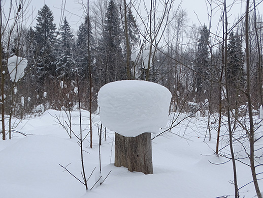 2022г. Тебе дал Бог на свет родиться. 372и