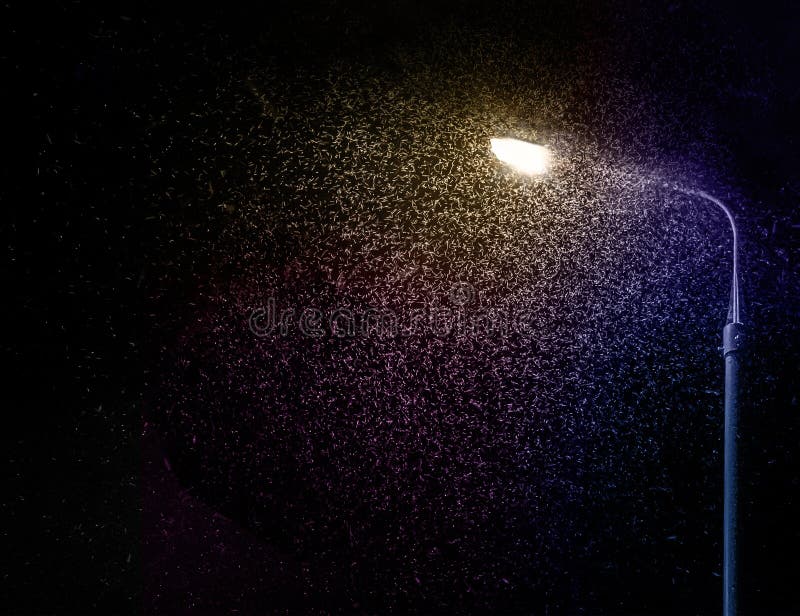 Конец года, дела и заботы