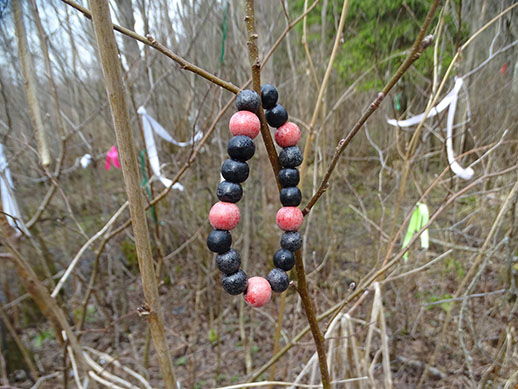 2021г. Тихонько музыка играла. 007к