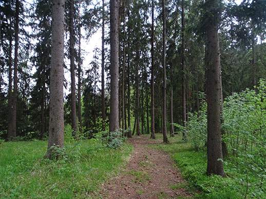 2021г. Опять не спишь, опять мне пишешь. 011к