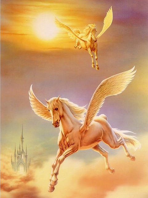 Поиски образа